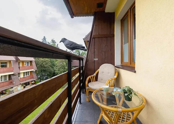 Osiedle Kasprusie Apartament Z 2 Balkonami Zakopane Centrum By Noclegi Renters